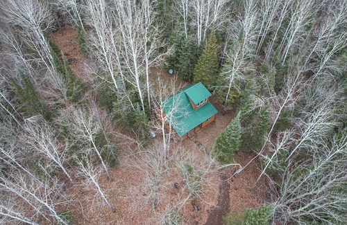 Barnum Cabin | Serene Barnum Cabin with Kitchen & Trail Access Awaits!