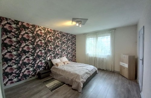 Chateauroux House | Spacious and Comfortable Entire Home with Spa Amenities