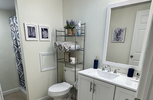 Williamsport Apartment | Brand new! Cozy Hidden Gem in Loyalsock