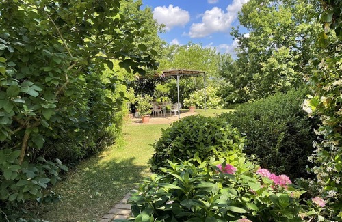 Montopoli in Val d'Arno Apartment | Discover an Authentic Country House in Scenic Tuscany