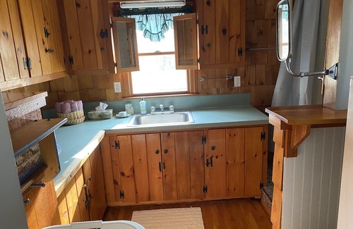 Belfast House | Serene Retreat in the Woods - Pet Friendly & Family Ready