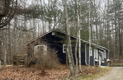 Belfast House | Serene Retreat in the Woods - Pet Friendly & Family Ready