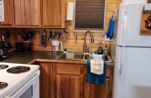 Fairbanks Cabin | Top-Rated Springwater Retreat with Family-Friendly Amenities