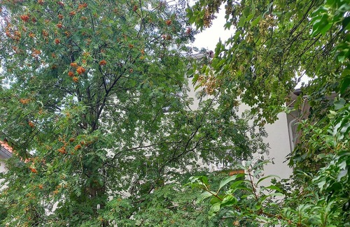Osternburg Apartment | Cozy Central Apartment Damm-36 with Kitchen Amenities