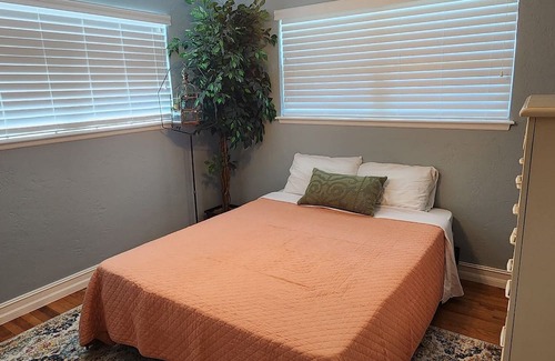 Ormond Shores House | Beachside Pool Retreat: 10/10 Guest Rated, Steps to Ocean