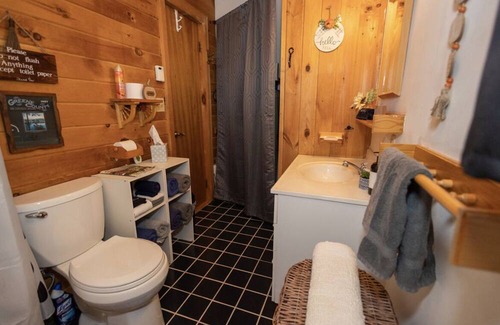 Windham Cabin | Hunter- Windham Ski Loft 5 mins to Windham Mountain, 15 mins to Hunter Mountain.