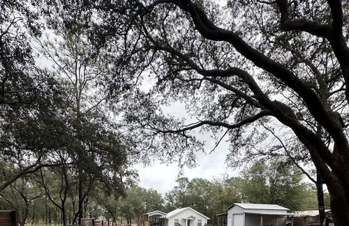 De Funiak Springs Cottage | The Lake House! New waterfront Cottage Retreat.