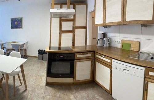Maishofen Apartment | Alpine Hostel Appartements TOP A8/9 / FF - Alpine Hostel Appartements