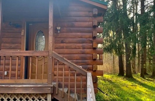 Jamestown Cabin | Idyllic Cabin Retreat with Pond near Chautauqua Lake