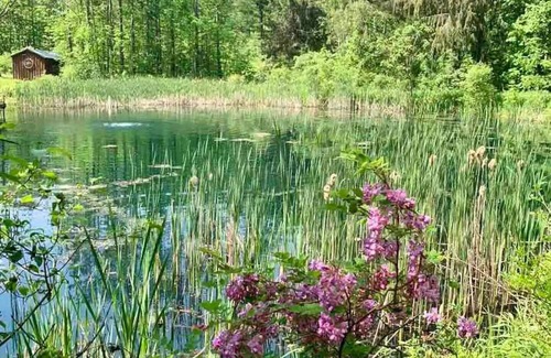 Jamestown Cabin | Idyllic Cabin Retreat with Pond near Chautauqua Lake