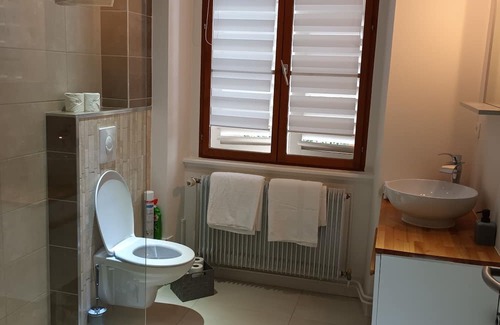 Quartier Saint-Leon Apartment | Experience Alsatian Charm in Colmar's Historic Heart