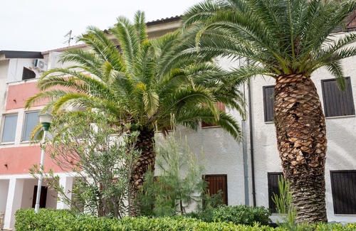 Falerna Apartment | Sea View Holiday Apartment with Pool and Pet-Friendly Options