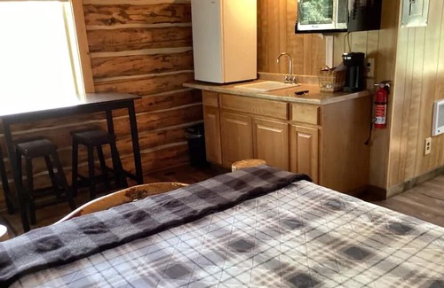 Swan Valley Cabin | Cozy Studio Cabin: Pet-Friendly Retreat for Families