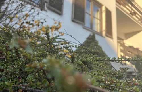 Gols Villa | Vacation home for 22 people on Lake Neusiedl - free W-LAN, barbecue, garden