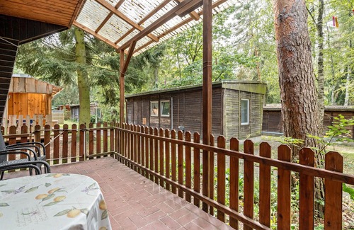 Kollm House | Bungalow '18 - Finnhütte' with Private Terrace and Shared Garden