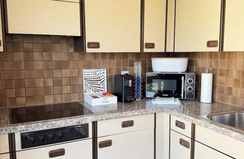 Spiez Apartment | Sneeze view