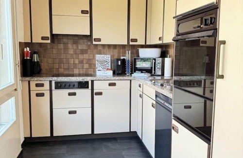 Spiez Apartment | Sneeze view