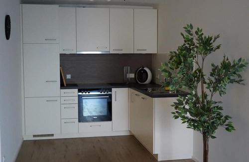 Mainz-Bingen Apartment | Wine, space & well-being - your vacation apartment "Im Rosengarten - I"