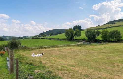 Newbridge Cottage | Alderneuk Lodge - UK49923