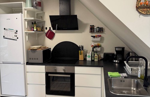 Odense House | Large Odense Home w/Rooftop Terrace, 2 Kitchens & Free Parking