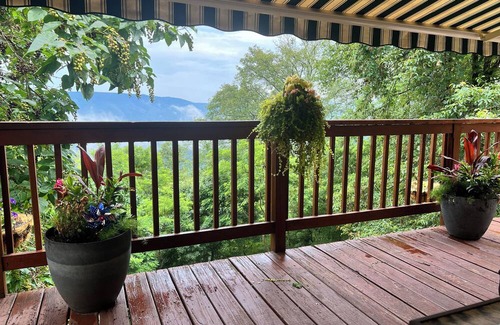 Old Fields House | The Mountain House on High Knob - Dog Friendly!