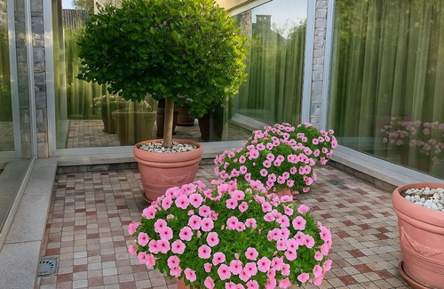Besozzo Villa | More Than a Stay, a Shared Experience – Green Hill Property on Lake Maggiore