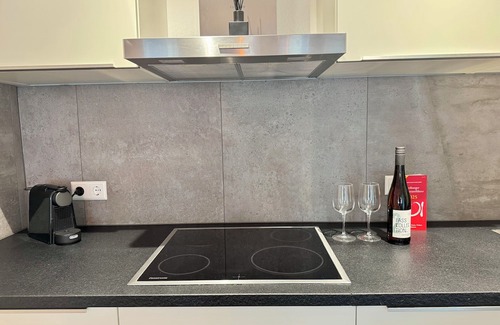 Freiburg im Breisgau Apartment | Exclusive 3-room apartment Design apartment in FR-Altstadt
