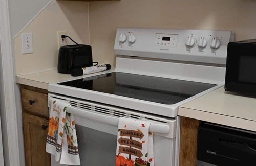 Greenville Apartment | Charming 2-bedroom apartment with Great central location in Greenville