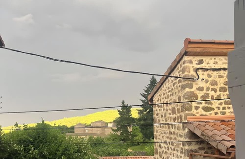 Saint-Alban-d'Ay House | Typical house completely renovated