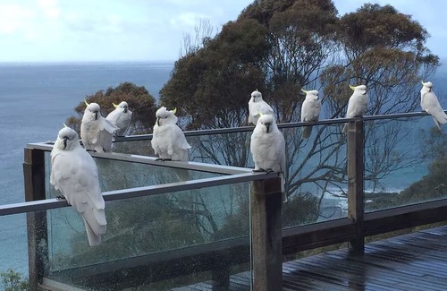 Wye River House | Arguably the best views in Wye River