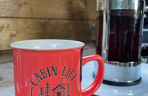 Hastings Highlands Cabin | Unique off grid 1-bedroom cabin near Bancroft