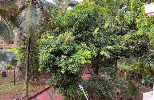 Kozhikode Villa | "Rohini Villa" 5 Bedroom Luxury Garden Villa in Kozhikode