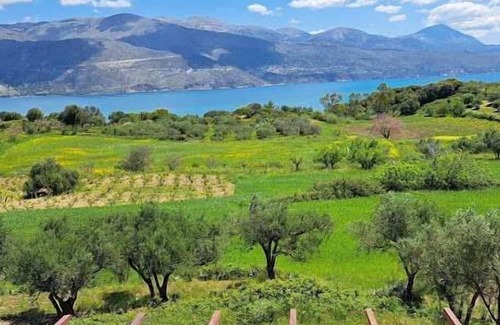 Kouvalata Apartment | Cozy Superior Seaview Nest - Kefalonia Garden Gem