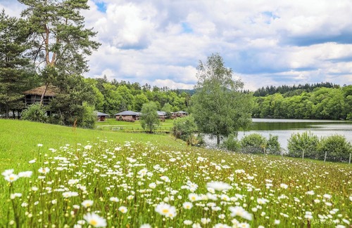 Meyrignac-l'Eglise House | Accès direct au lac | Chalet mitoyen + Terrasse