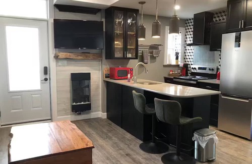 Inner Harbour Apartment | 1 bedroom modern suite, close to downtown.