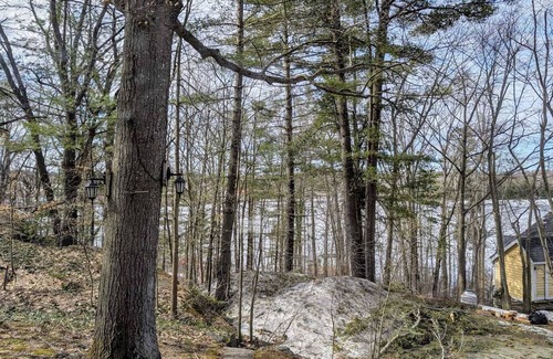 Gravenhurst Cottage | Charming 3-Bedroom Lakeview Escape in Muskoka – Tranquility Awaits (Hot Tub)