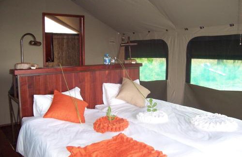 Sangwali Other | Explore Nkasa Lupala Tented Lodge with Pool & Dining