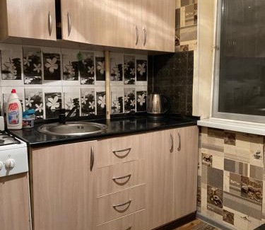 Shymkent Apartment | Pet-Friendly One-Bedroom Apartment with 10/10 Guest Rating