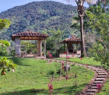 Santo Domingo Other | Finca PiedrAlta Cisneros