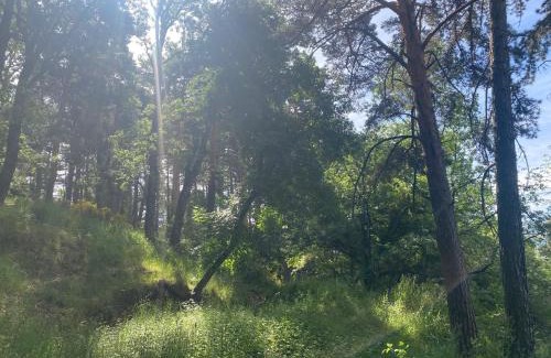 Cercedilla Hotel | Espacio Rural Los Castaños