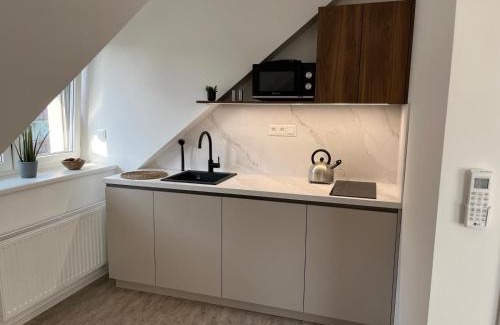 Slavicin Apartment | Penzion J&P