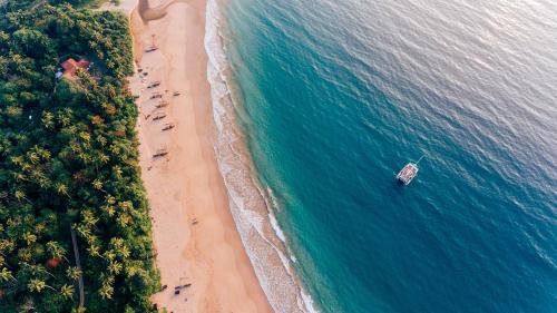 Bandaramulla Boat Rental | Ran Cruise
