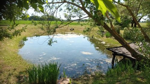Zemgale Apartment | Discover Affordable Apartments in Latvia for Your Stay