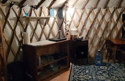 Brownfield Other | Inviting Allie Mae Yurt Surrounded by Nature's Beauty