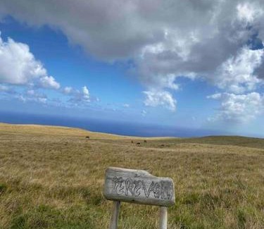 Hanga Roa House | Discover Terevaka Lodge: Pet-Friendly Retreat Awaits