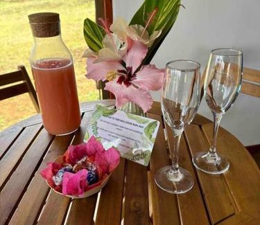 Hanga Roa House | Discover Terevaka Lodge: Pet-Friendly Retreat Awaits