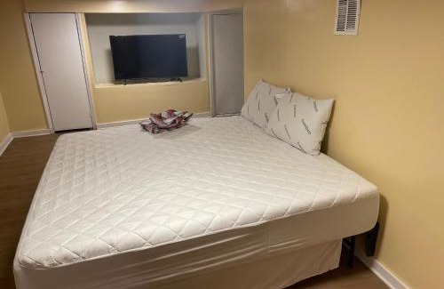 Lower Vailsburg House | Accessible Retreat: Pet Friendly & Wheelchair Accessible Stay