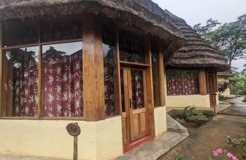 Eastern Region Hotel | Discover Cwmbale Eco-Safari Lodges & Family-Friendly Dining