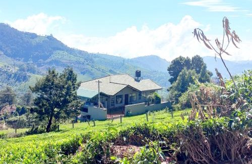 Coonoor House | Explore Rinkoos Mountains & Mist: Family-Friendly Getaway