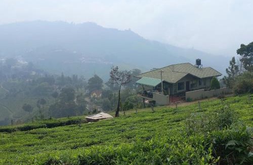 Coonoor House | Explore Rinkoos Mountains & Mist: Family-Friendly Getaway